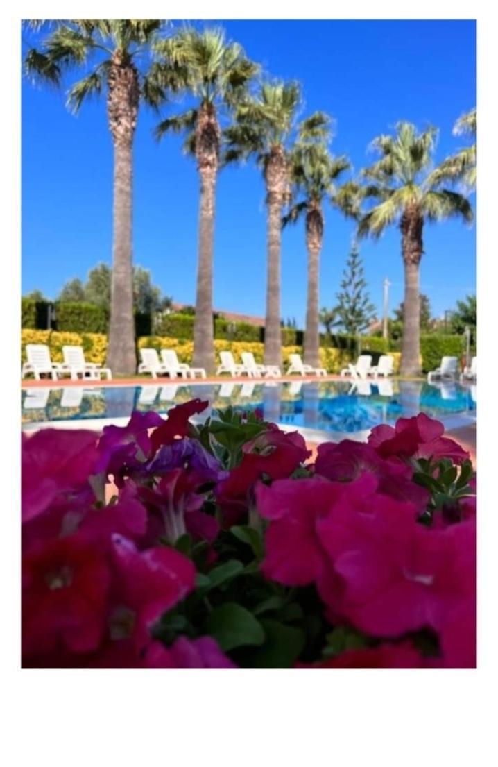 Villa Laura Residence Hotel Apartments & Studios Ascea Exterior photo